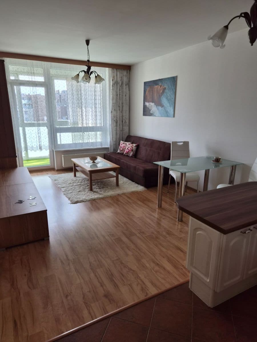 1 bedroom with open-plan kitchen flat to rent, 49 m², Svitákova, Prague, Prague 1 bedroom with open-plan kitchen flat to rent, 49 m², Svitákova, Prague, Prague