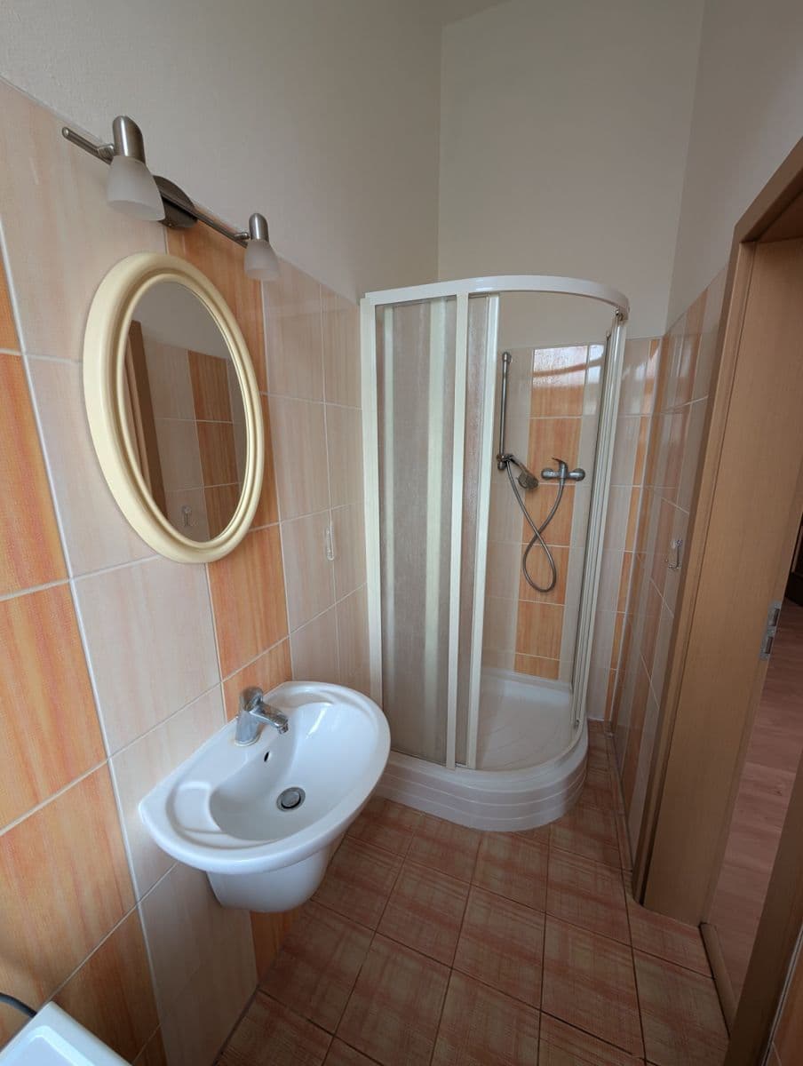 1 bedroom with open-plan kitchen flat to rent, 50 m², Wenzigova, Prague, Prague 1 bedroom with open-plan kitchen flat to rent, 50 m², Wenzigova, Prague, Prague