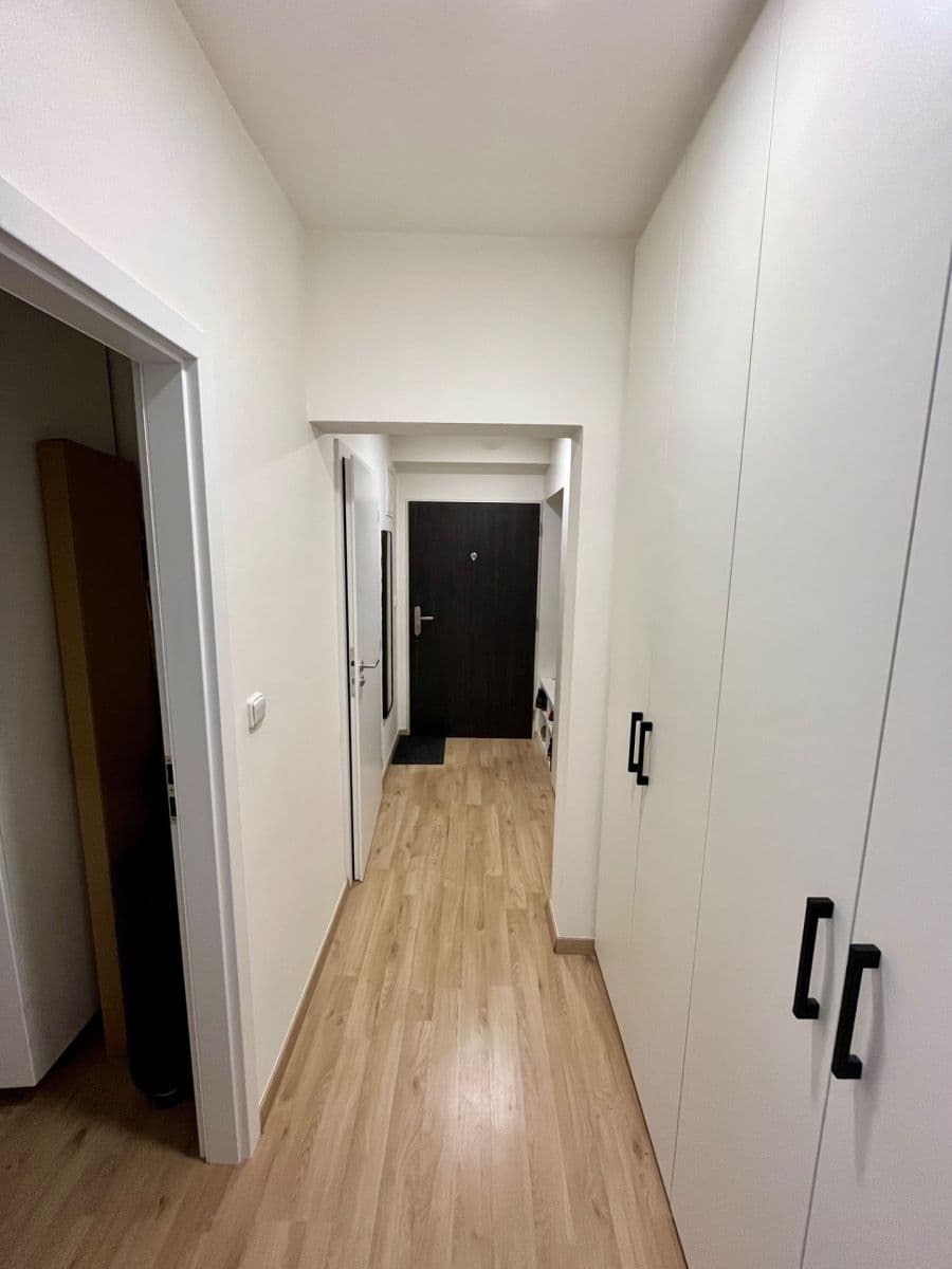 1 bedroom with open-plan kitchen flat for sale, 55 m², Peroutkova, Prague, Prague 1 bedroom with open-plan kitchen flat for sale, 55 m², Peroutkova, Prague, Prague