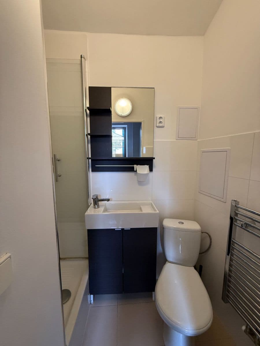 Small studio flat to rent, 19 m², Francouzská, Prague, Prague Small studio flat to rent, 19 m², Francouzská, Prague, Prague