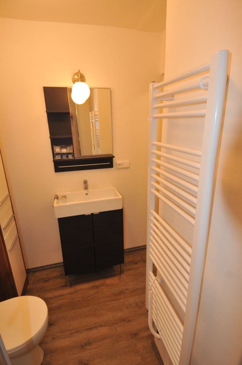 Studio flat to rent, 20 m², Na Cikánce, Prague, Prague Studio flat to rent, 20 m², Na Cikánce, Prague, Prague