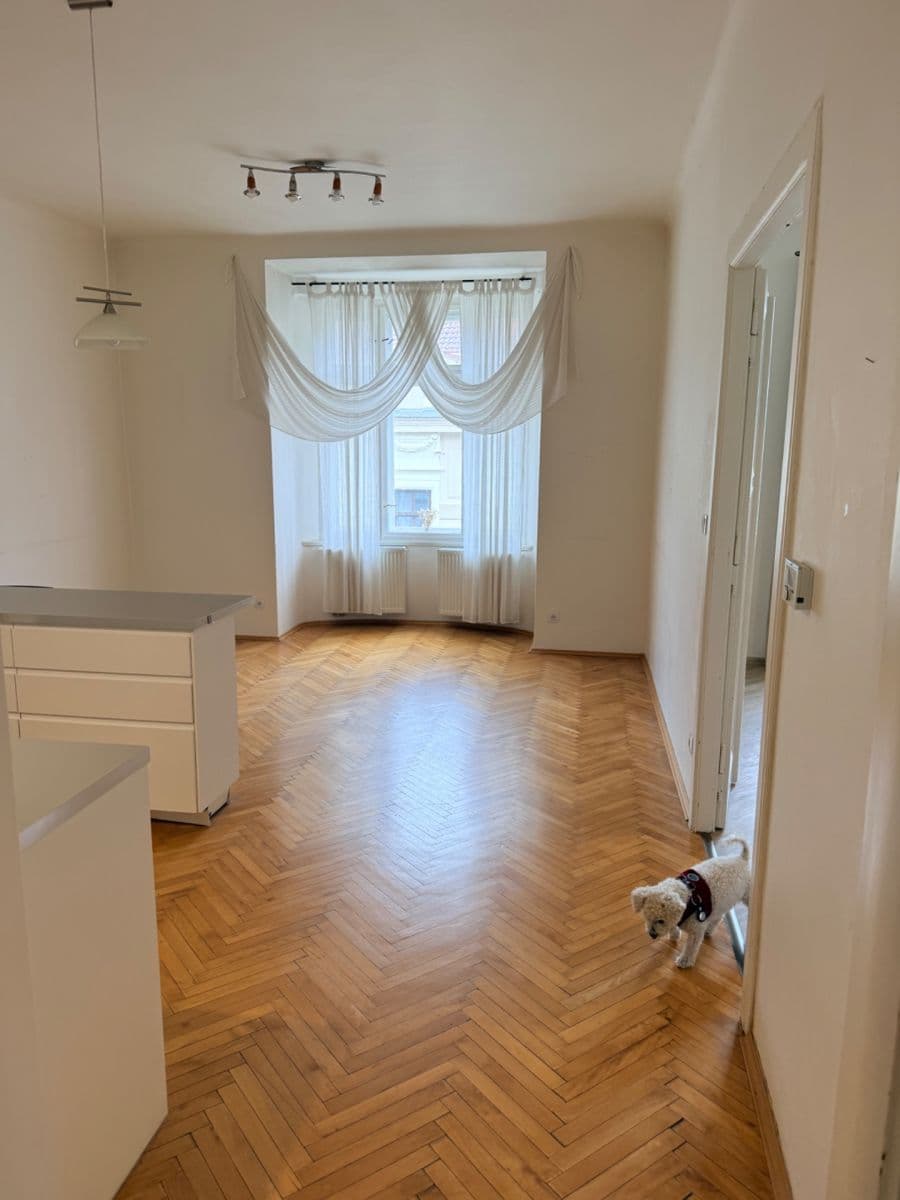 2 bedroom with open-plan kitchen flat to rent, 75 m², Malířská, Prague, Prague 2 bedroom with open-plan kitchen flat to rent, 75 m², Malířská, Prague, Prague