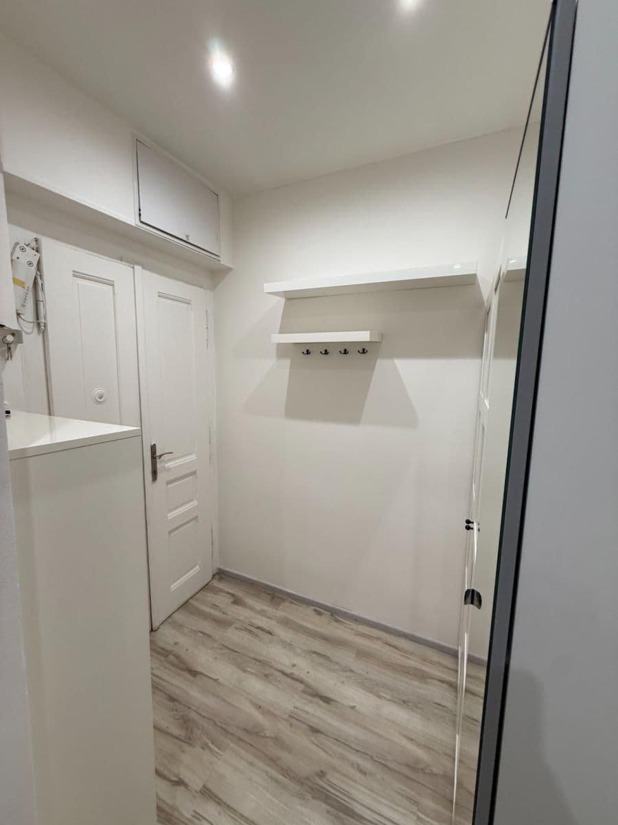 1 bedroom with open-plan kitchen flat to rent, 58 m², Schnirchova, Prague, Prague 1 bedroom with open-plan kitchen flat to rent, 58 m², Schnirchova, Prague, Prague