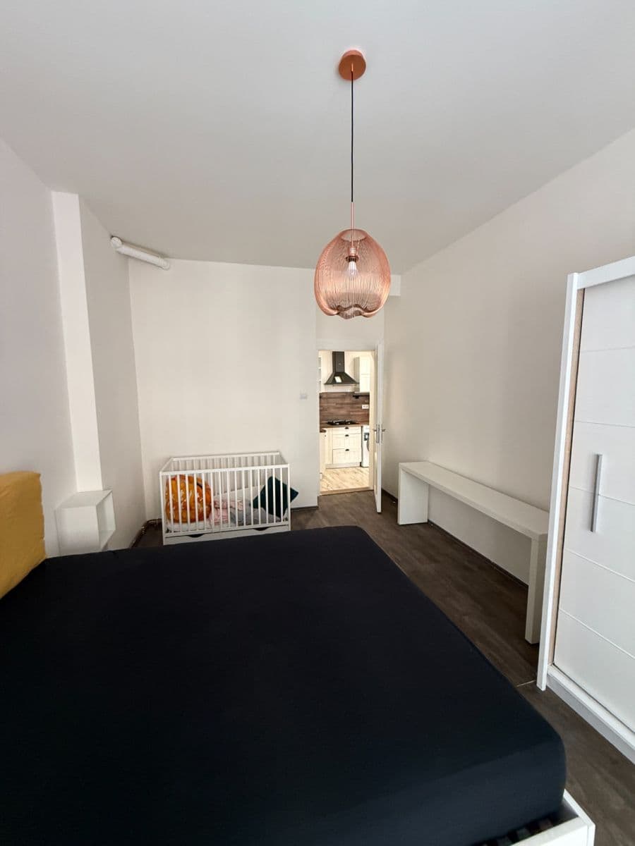 1 bedroom with open-plan kitchen flat to rent, 58 m², Schnirchova, Prague, Prague 1 bedroom with open-plan kitchen flat to rent, 58 m², Schnirchova, Prague, Prague