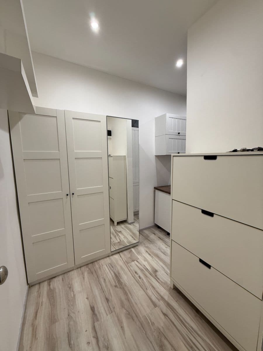 1 bedroom with open-plan kitchen flat to rent, 58 m², Schnirchova, Prague, Prague 1 bedroom with open-plan kitchen flat to rent, 58 m², Schnirchova, Prague, Prague