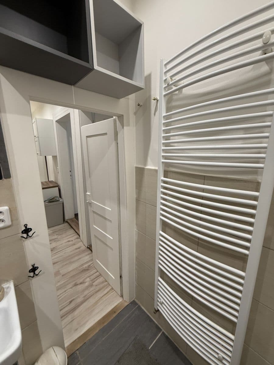 1 bedroom with open-plan kitchen flat to rent, 58 m², Schnirchova, Prague, Prague 1 bedroom with open-plan kitchen flat to rent, 58 m², Schnirchova, Prague, Prague