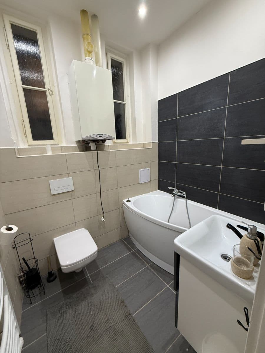 1 bedroom with open-plan kitchen flat to rent, 58 m², Schnirchova, Prague, Prague 1 bedroom with open-plan kitchen flat to rent, 58 m², Schnirchova, Prague, Prague