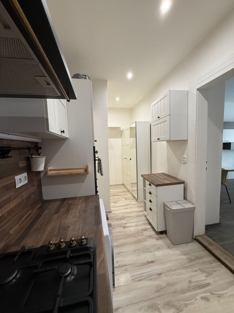 1 bedroom with open-plan kitchen flat to rent, 58 m², Schnirchova, Prague, Prague 1 bedroom with open-plan kitchen flat to rent, 58 m², Schnirchova, Prague, Prague