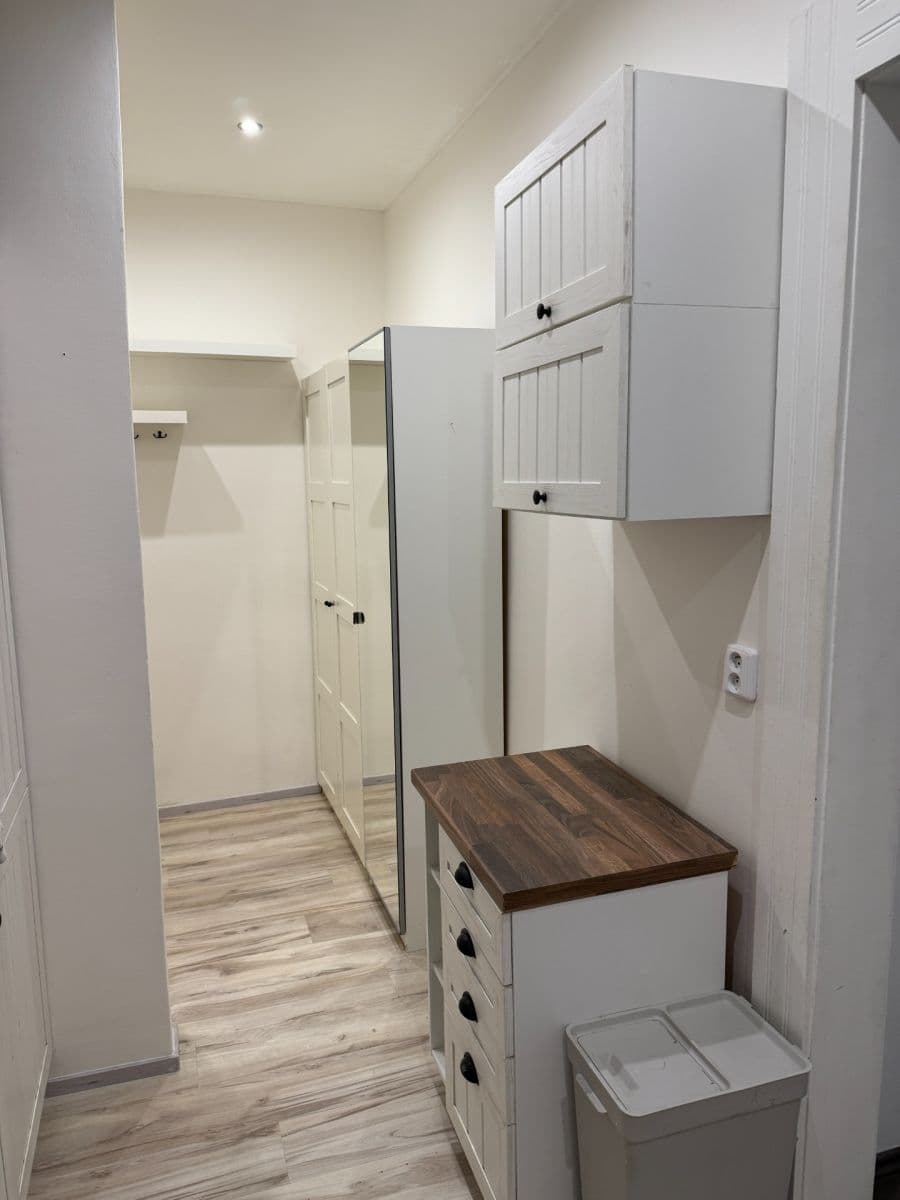 1 bedroom with open-plan kitchen flat to rent, 58 m², Schnirchova, Prague, Prague 1 bedroom with open-plan kitchen flat to rent, 58 m², Schnirchova, Prague, Prague