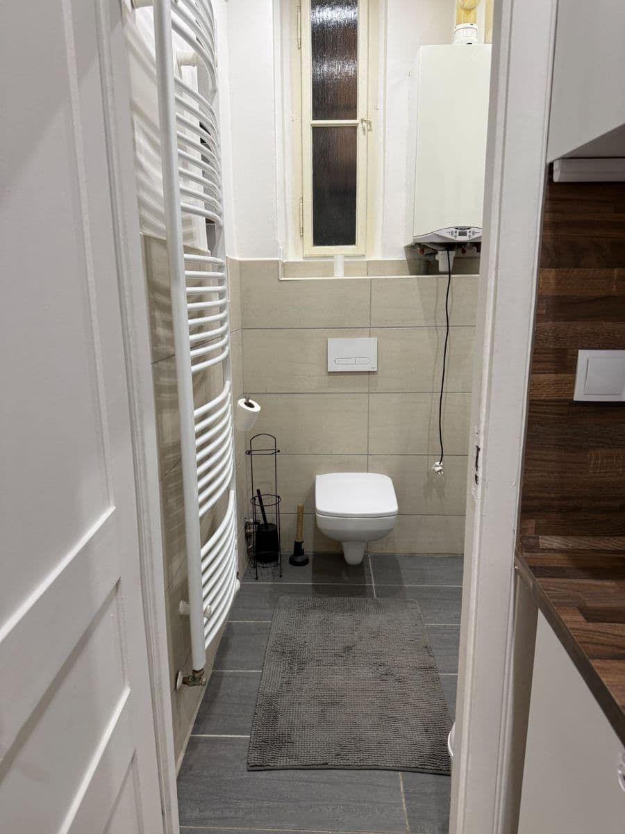 1 bedroom with open-plan kitchen flat to rent, 58 m², Schnirchova, Prague, Prague 1 bedroom with open-plan kitchen flat to rent, 58 m², Schnirchova, Prague, Prague