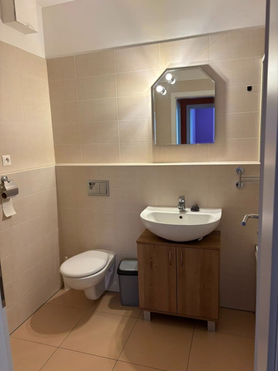 1 bedroom with open-plan kitchen flat to rent, 55 m², Československého exilu, Prague, Prague 1 bedroom with open-plan kitchen flat to rent, 55 m², Československého exilu, Prague, Prague