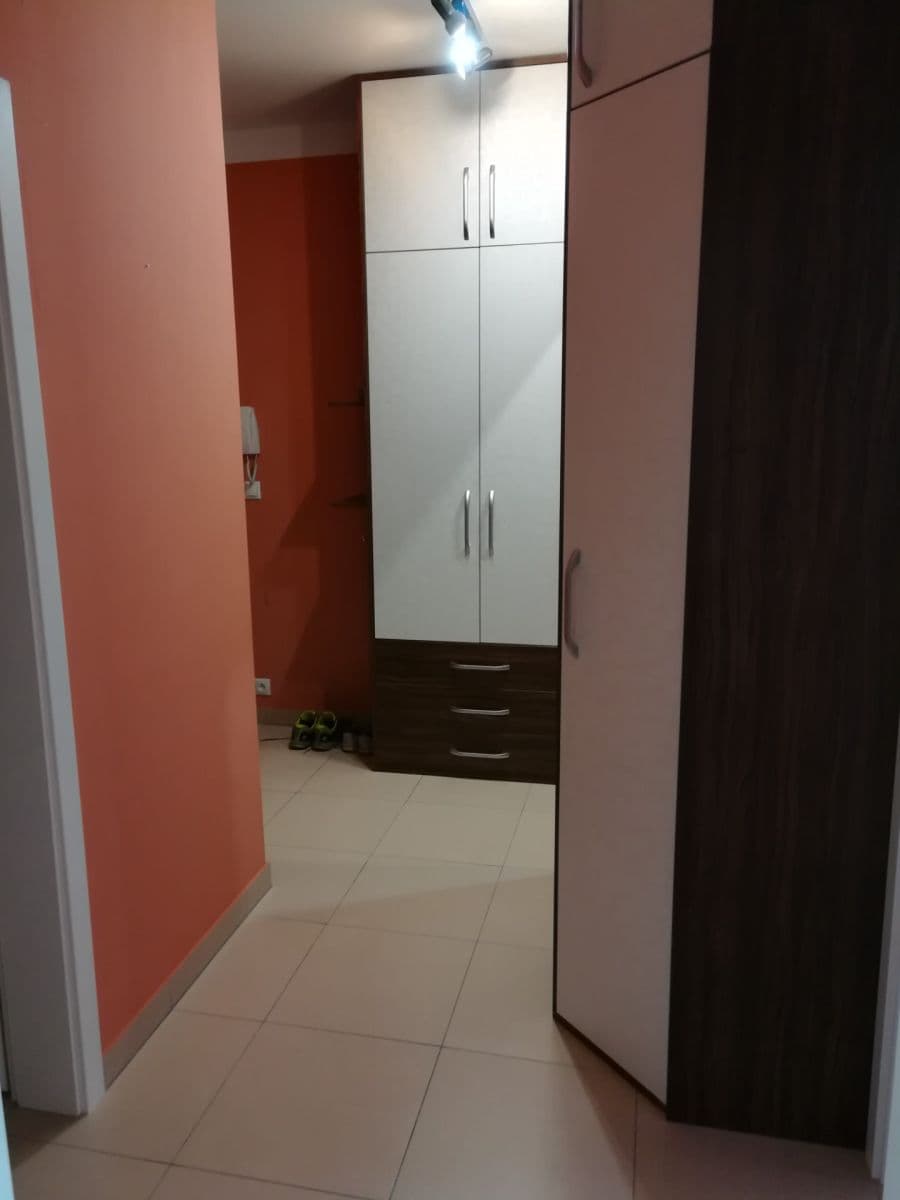 1 bedroom with open-plan kitchen flat to rent, 55 m², Československého exilu, Prague, Prague 1 bedroom with open-plan kitchen flat to rent, 55 m², Československého exilu, Prague, Prague