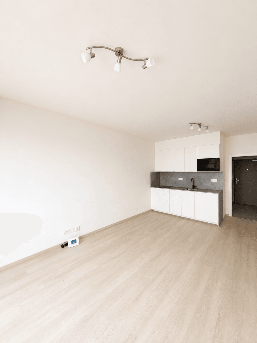 Studio flat to rent, 34 m², Gerstelova, Prague, Prague Studio flat to rent, 34 m², Gerstelova, Prague, Prague