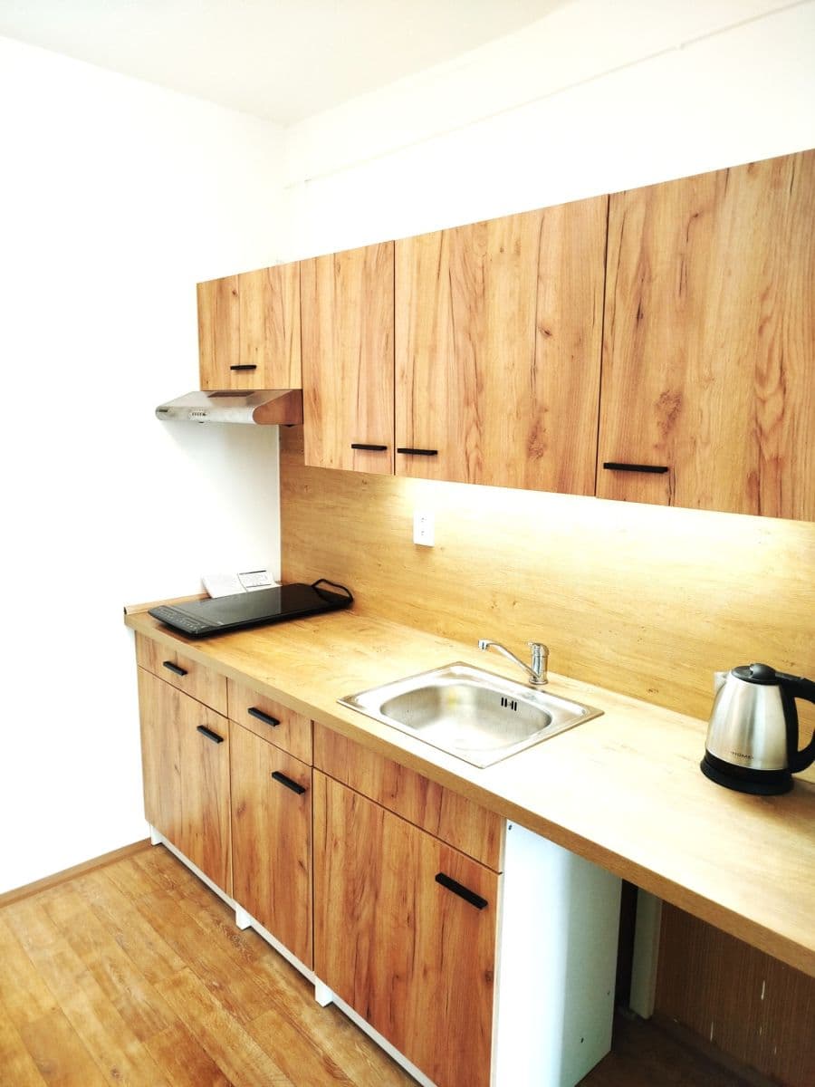 1 bedroom with open-plan kitchen flat to rent, 45 m², Hráského, Prague, Prague 1 bedroom with open-plan kitchen flat to rent, 45 m², Hráského, Prague, Prague