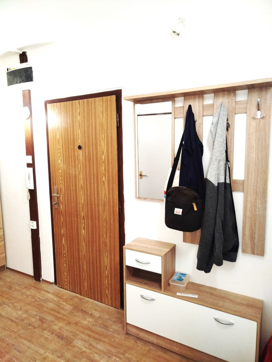 1 bedroom with open-plan kitchen flat to rent, 45 m², Hráského, Prague, Prague 1 bedroom with open-plan kitchen flat to rent, 45 m², Hráského, Prague, Prague