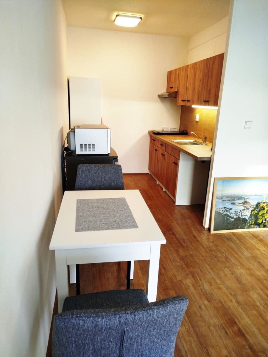 1 bedroom with open-plan kitchen flat to rent, 45 m², Hráského, Prague, Prague 1 bedroom with open-plan kitchen flat to rent, 45 m², Hráského, Prague, Prague