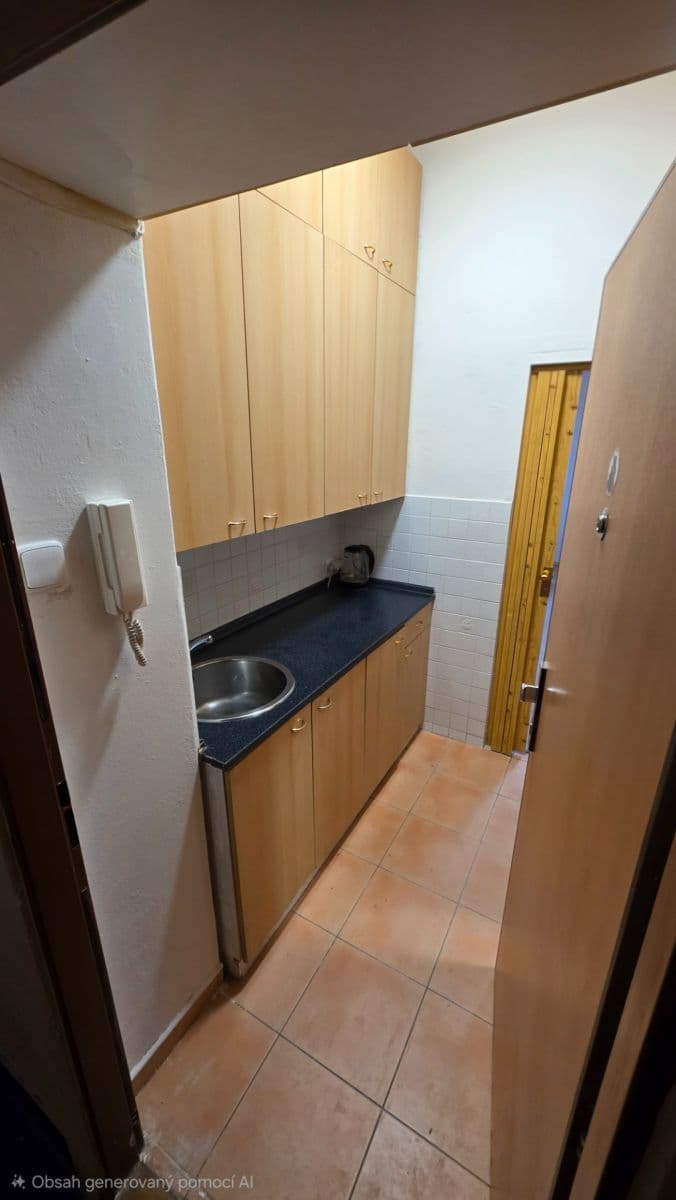 Studio flat to rent, 24 m², Křížová, Prague, Prague Studio flat to rent, 24 m², Křížová, Prague, Prague