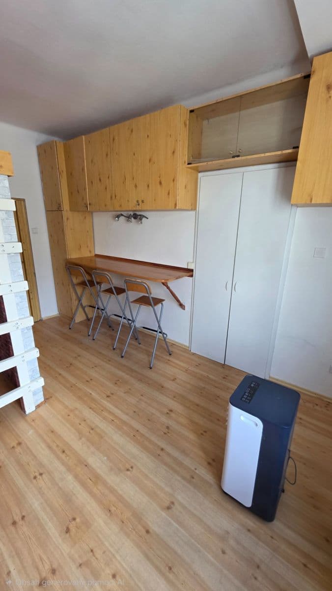 Studio flat to rent, 24 m², Křížová, Prague, Prague Studio flat to rent, 24 m², Křížová, Prague, Prague
