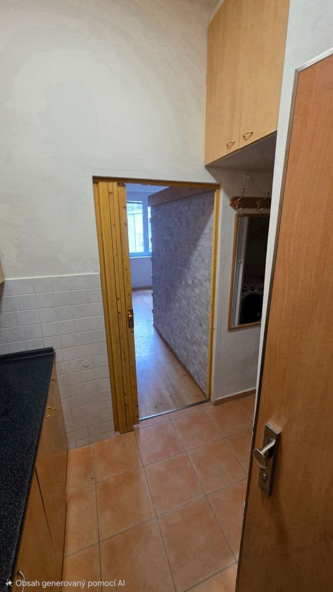 Studio flat to rent, 24 m², Křížová, Prague, Prague Studio flat to rent, 24 m², Křížová, Prague, Prague