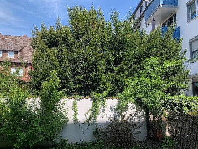 flat to rent, 23 m², Münster, North Rhine-Westphalia flat to rent, 23 m², Münster, North Rhine-Westphalia