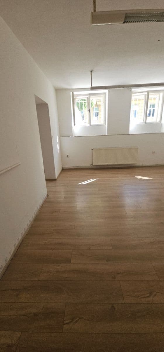 2 bedroom flat to rent, 60 m², třída Spojenců, Opava, Moravskoslezský Region 2 bedroom flat to rent, 60 m², třída Spojenců, Opava, Moravskoslezský Region