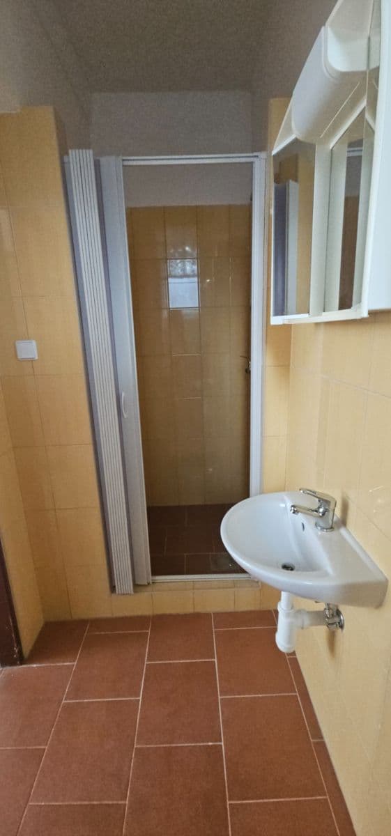 2 bedroom flat to rent, 60 m², třída Spojenců, Opava, Moravskoslezský Region 2 bedroom flat to rent, 60 m², třída Spojenců, Opava, Moravskoslezský Region