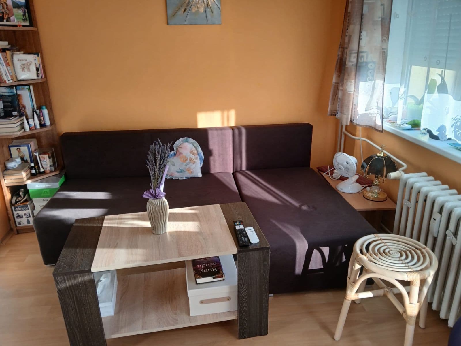 Studio flat to rent, 27 m², Horní Valy, Hodonín, Jihomoravský Region Studio flat to rent, 27 m², Horní Valy, Hodonín, Jihomoravský Region