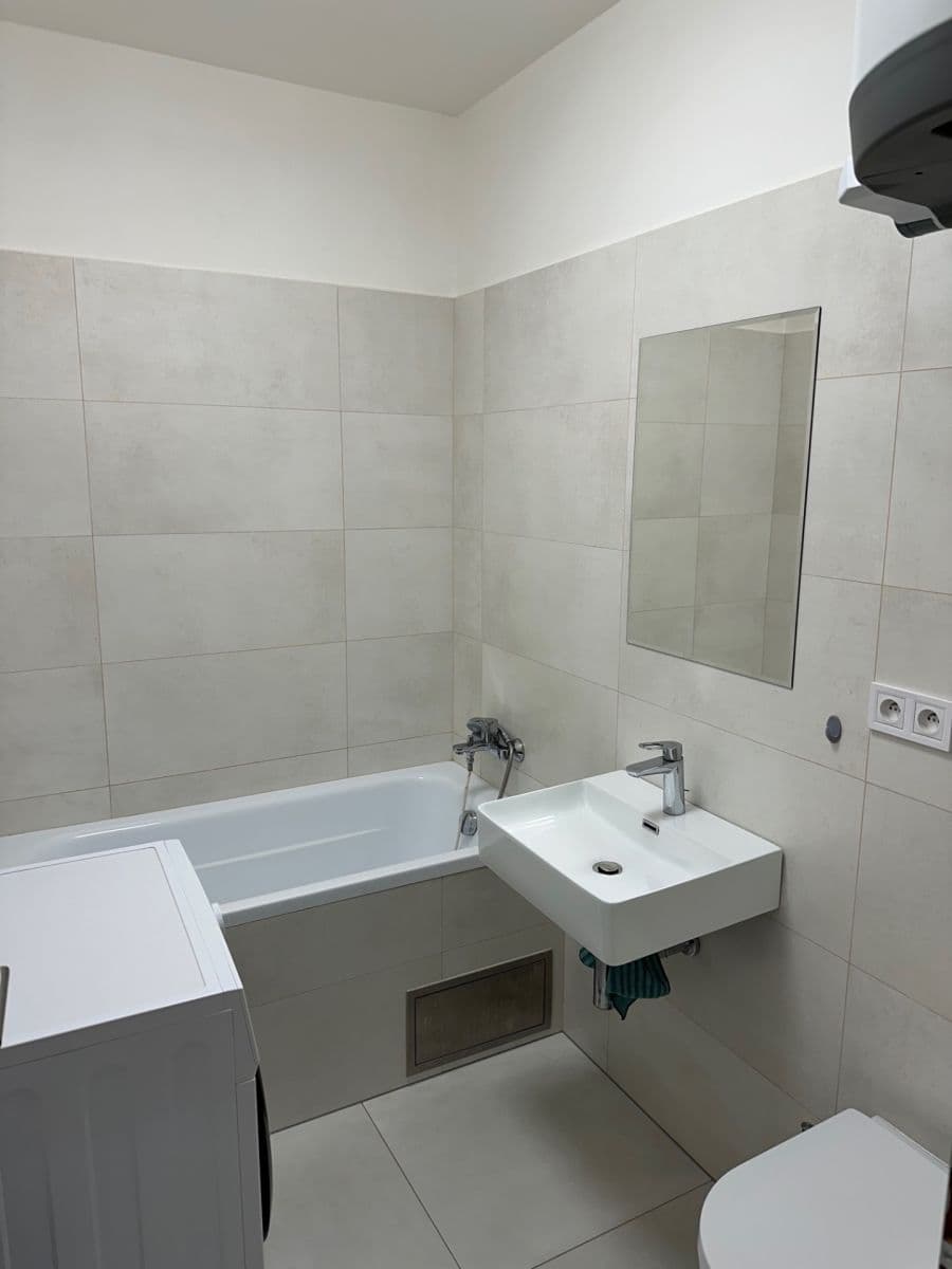1 bedroom with open-plan kitchen flat to rent, 35 m², Pod Stárkou, Prague, Prague 1 bedroom with open-plan kitchen flat to rent, 35 m², Pod Stárkou, Prague, Prague