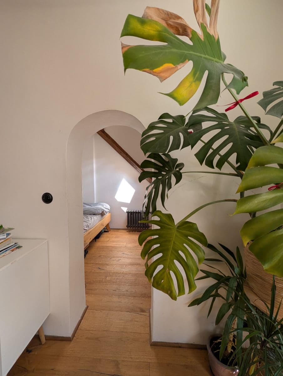 1 bedroom with open-plan kitchen flat to rent, 44 m², 8. listopadu, Prague, Prague 1 bedroom with open-plan kitchen flat to rent, 44 m², 8. listopadu, Prague, Prague