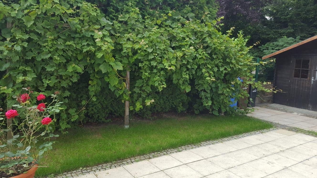 house to rent, 244 m², Leverkusen, North Rhine-Westphalia house to rent, 244 m², Leverkusen, North Rhine-Westphalia