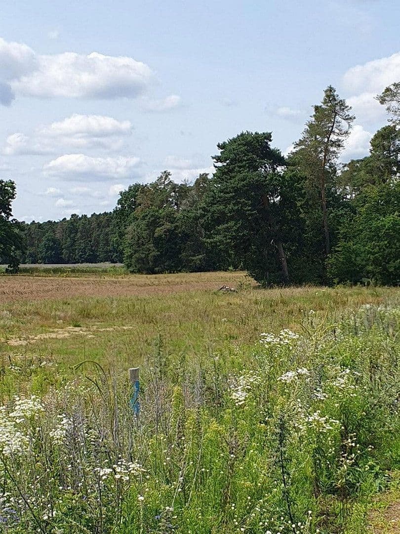 plot for sale, 525 m², Möhrendorf, Bavaria plot for sale, 525 m², Möhrendorf, Bavaria