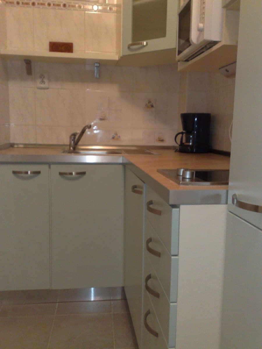 1 bedroom with open-plan kitchen flat to rent, 54 m², Chodská, Prague, Prague 1 bedroom with open-plan kitchen flat to rent, 54 m², Chodská, Prague, Prague