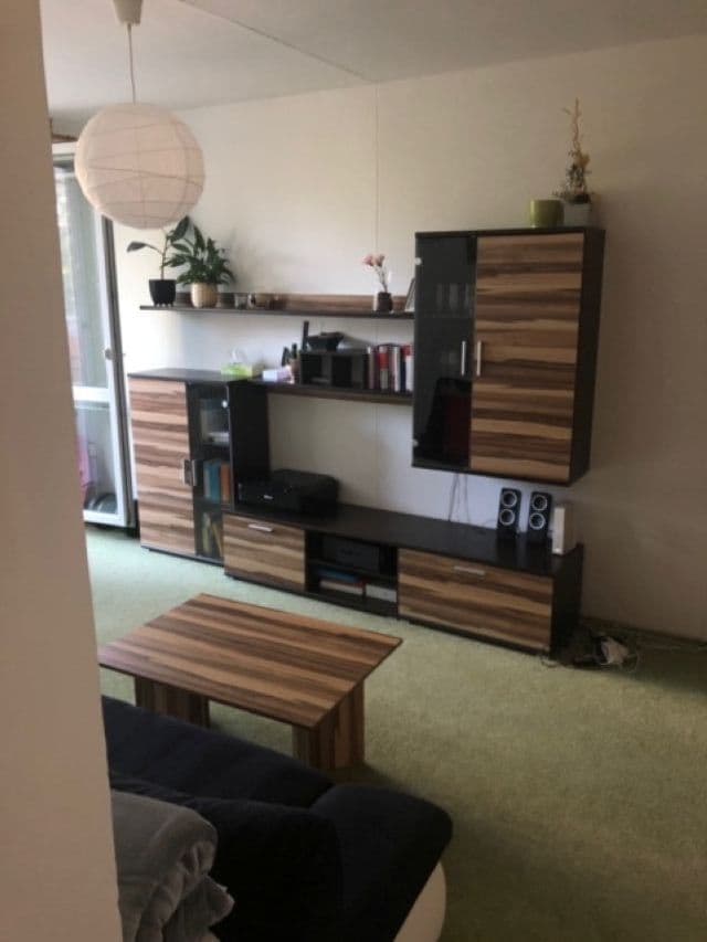 1 bedroom with open-plan kitchen flat to rent, 49 m², Jablonecká, Prague, Prague 1 bedroom with open-plan kitchen flat to rent, 49 m², Jablonecká, Prague, Prague