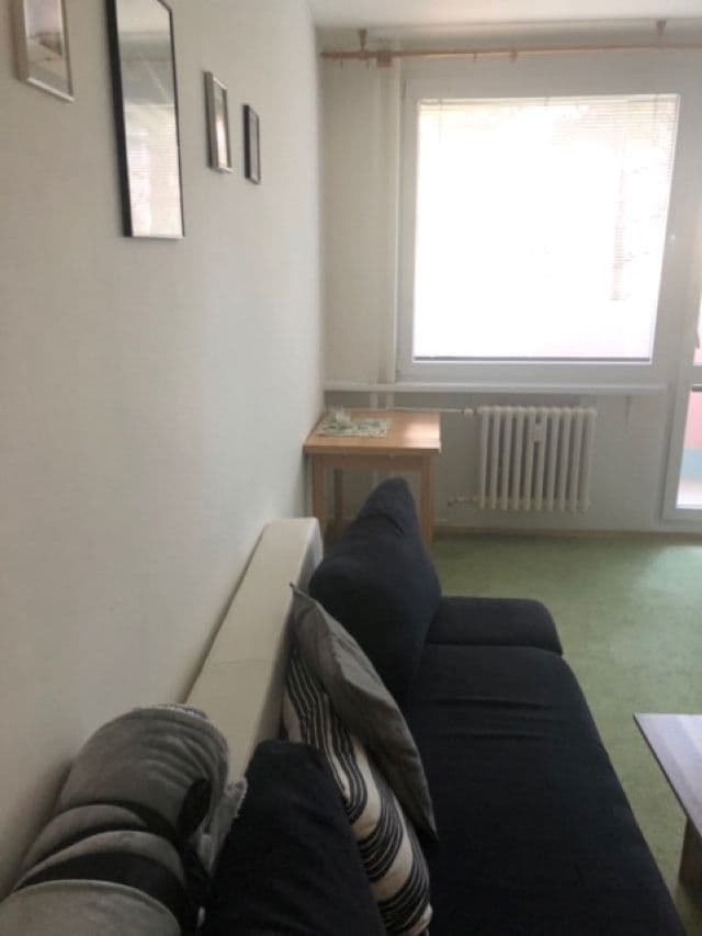 1 bedroom with open-plan kitchen flat to rent, 49 m², Jablonecká, Prague, Prague 1 bedroom with open-plan kitchen flat to rent, 49 m², Jablonecká, Prague, Prague
