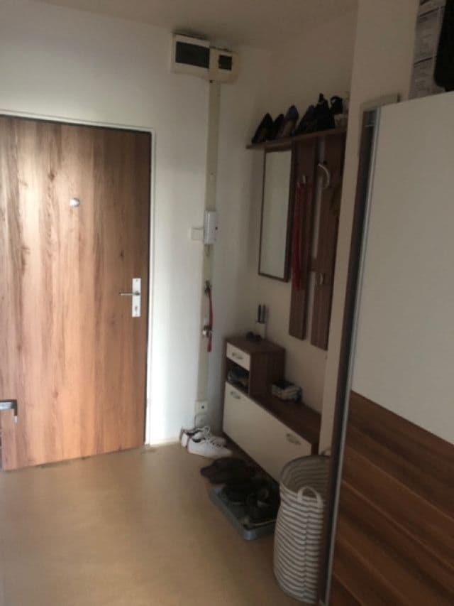 1 bedroom with open-plan kitchen flat to rent, 49 m², Jablonecká, Prague, Prague 1 bedroom with open-plan kitchen flat to rent, 49 m², Jablonecká, Prague, Prague