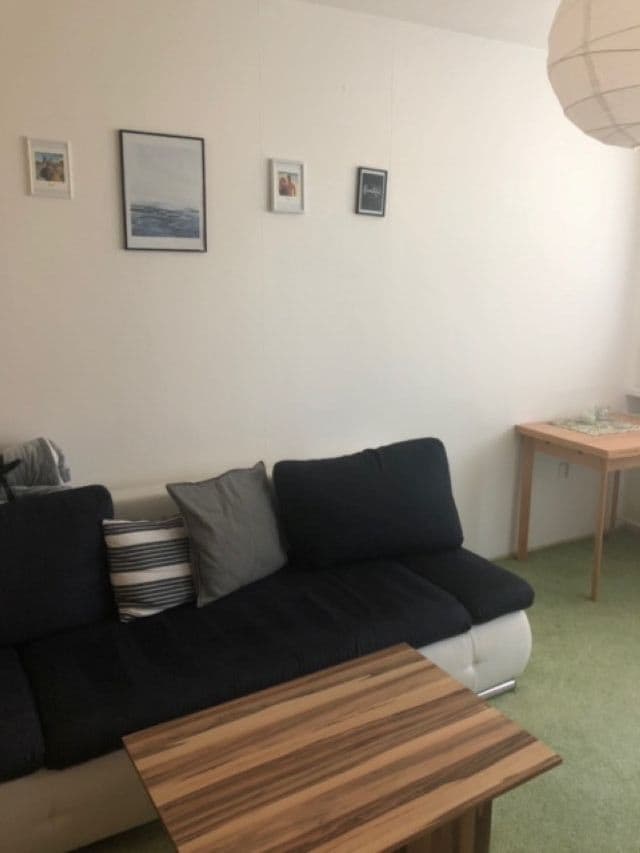 1 bedroom with open-plan kitchen flat to rent, 49 m², Jablonecká, Prague, Prague 1 bedroom with open-plan kitchen flat to rent, 49 m², Jablonecká, Prague, Prague