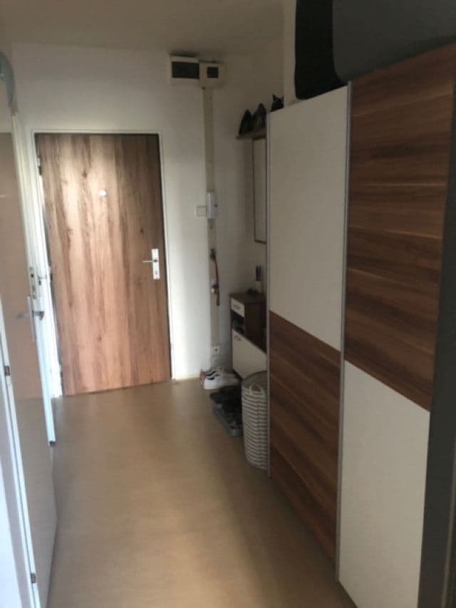 1 bedroom with open-plan kitchen flat to rent, 49 m², Jablonecká, Prague, Prague 1 bedroom with open-plan kitchen flat to rent, 49 m², Jablonecká, Prague, Prague