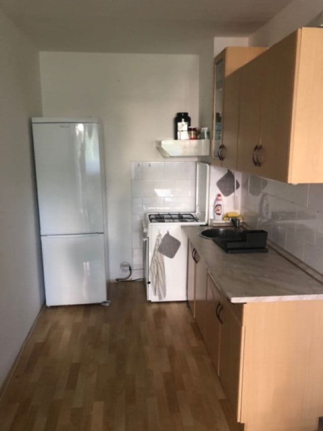 1 bedroom with open-plan kitchen flat to rent, 49 m², Jablonecká, Prague, Prague 1 bedroom with open-plan kitchen flat to rent, 49 m², Jablonecká, Prague, Prague