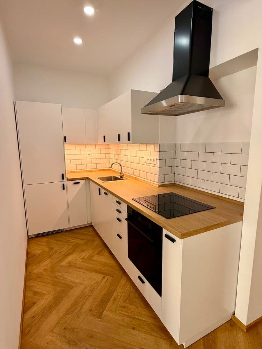 2 bedroom with open-plan kitchen flat to rent, 61 m², Žerotínova, Prague, Prague 2 bedroom with open-plan kitchen flat to rent, 61 m², Žerotínova, Prague, Prague
