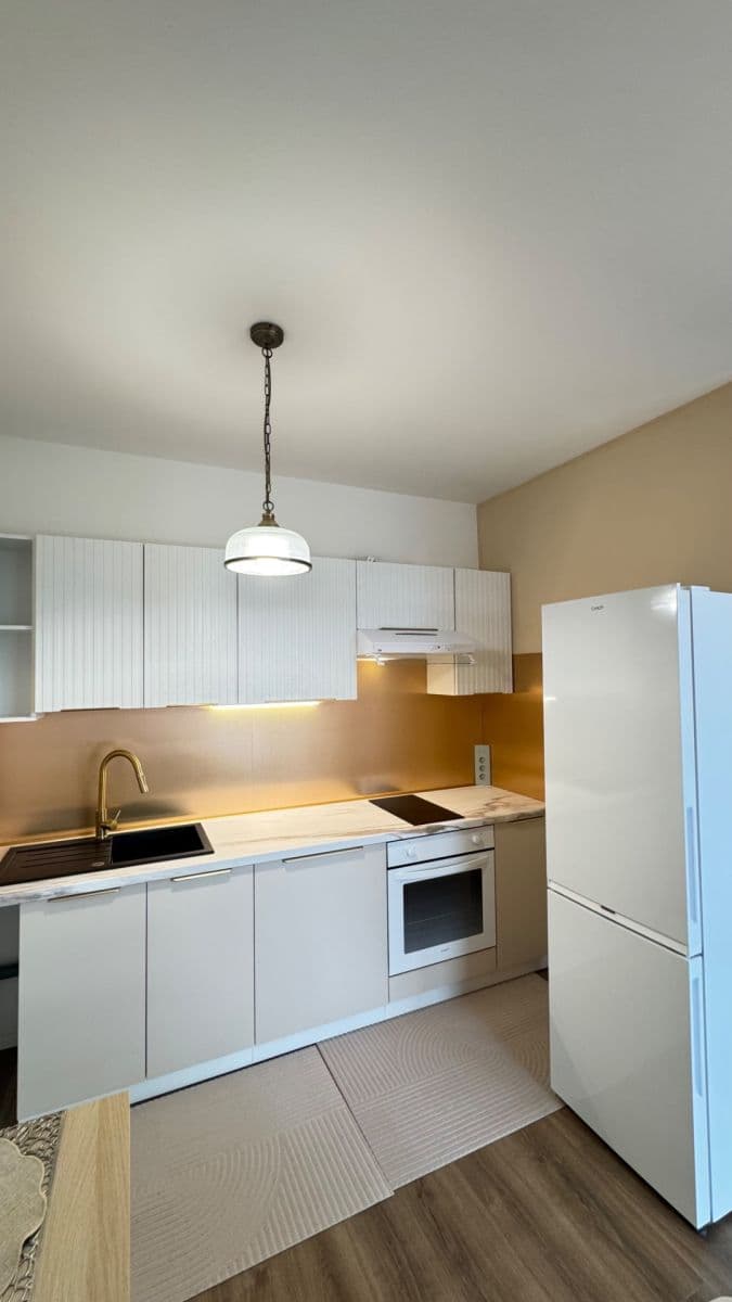 1 bedroom with open-plan kitchen flat to rent, 34 m², Arnošta Valenty, Prague, Prague 1 bedroom with open-plan kitchen flat to rent, 34 m², Arnošta Valenty, Prague, Prague