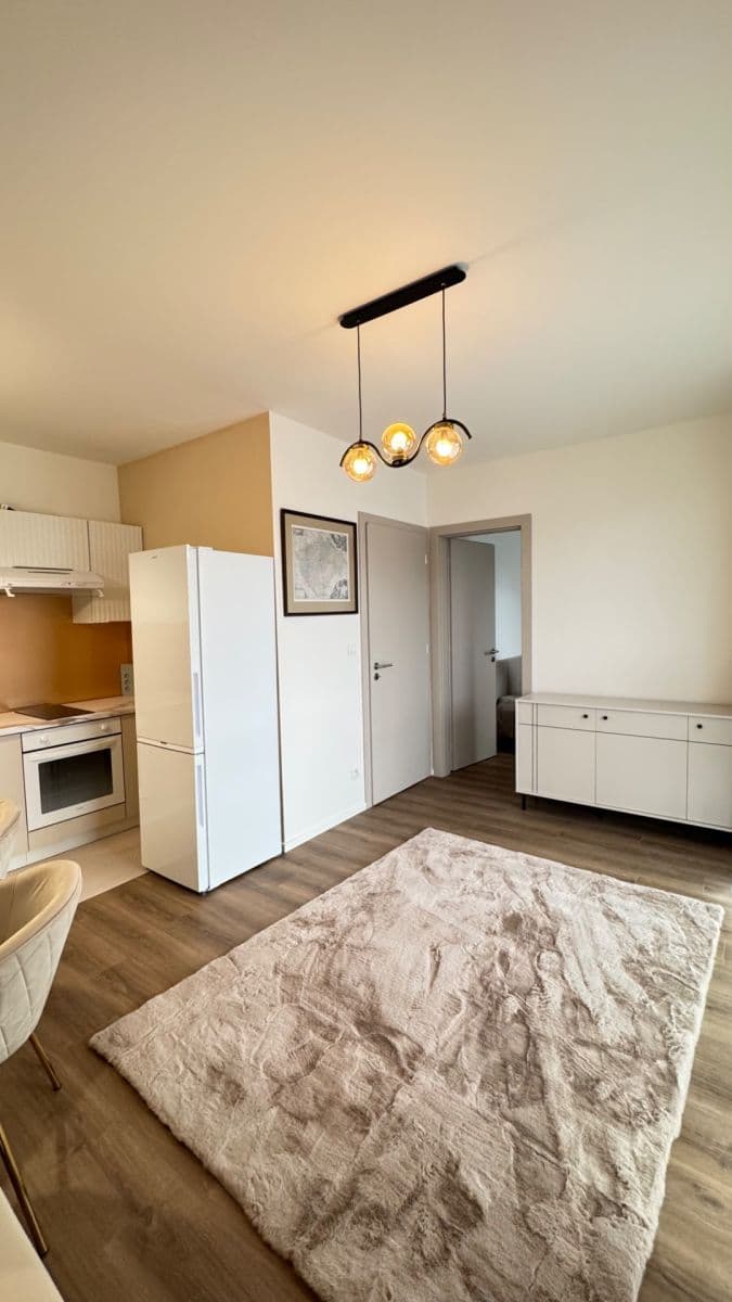 1 bedroom with open-plan kitchen flat to rent, 34 m², Arnošta Valenty, Prague, Prague 1 bedroom with open-plan kitchen flat to rent, 34 m², Arnošta Valenty, Prague, Prague
