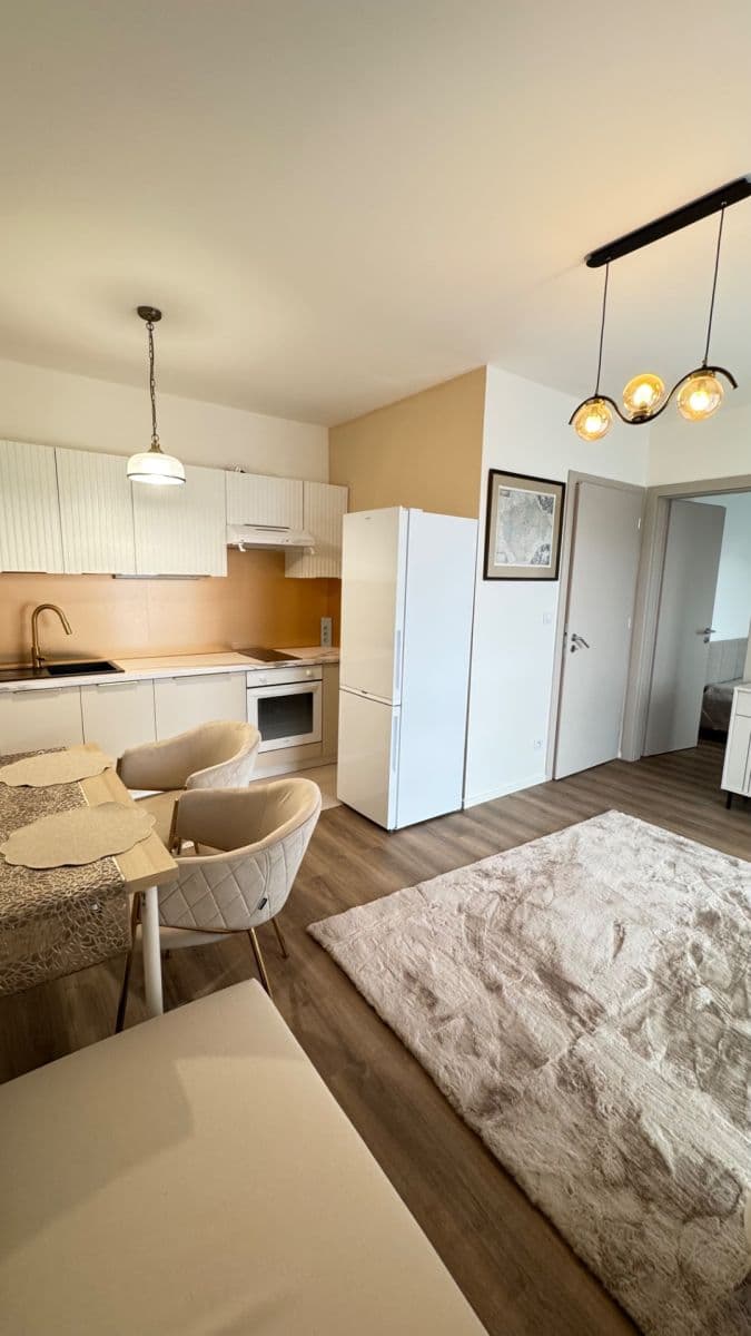 1 bedroom with open-plan kitchen flat to rent, 34 m², Arnošta Valenty, Prague, Prague 1 bedroom with open-plan kitchen flat to rent, 34 m², Arnošta Valenty, Prague, Prague