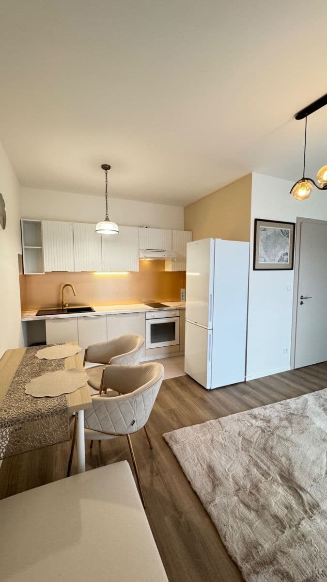 1 bedroom with open-plan kitchen flat to rent, 34 m², Arnošta Valenty, Prague, Prague 1 bedroom with open-plan kitchen flat to rent, 34 m², Arnošta Valenty, Prague, Prague