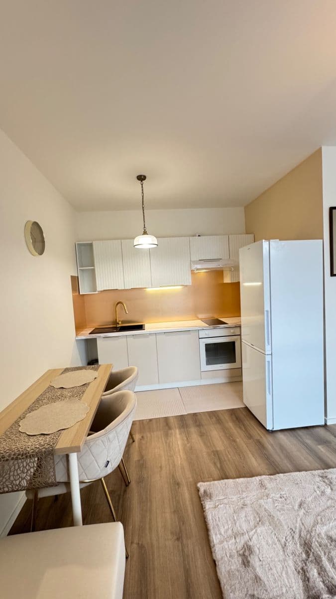 1 bedroom with open-plan kitchen flat to rent, 34 m², Arnošta Valenty, Prague, Prague 1 bedroom with open-plan kitchen flat to rent, 34 m², Arnošta Valenty, Prague, Prague