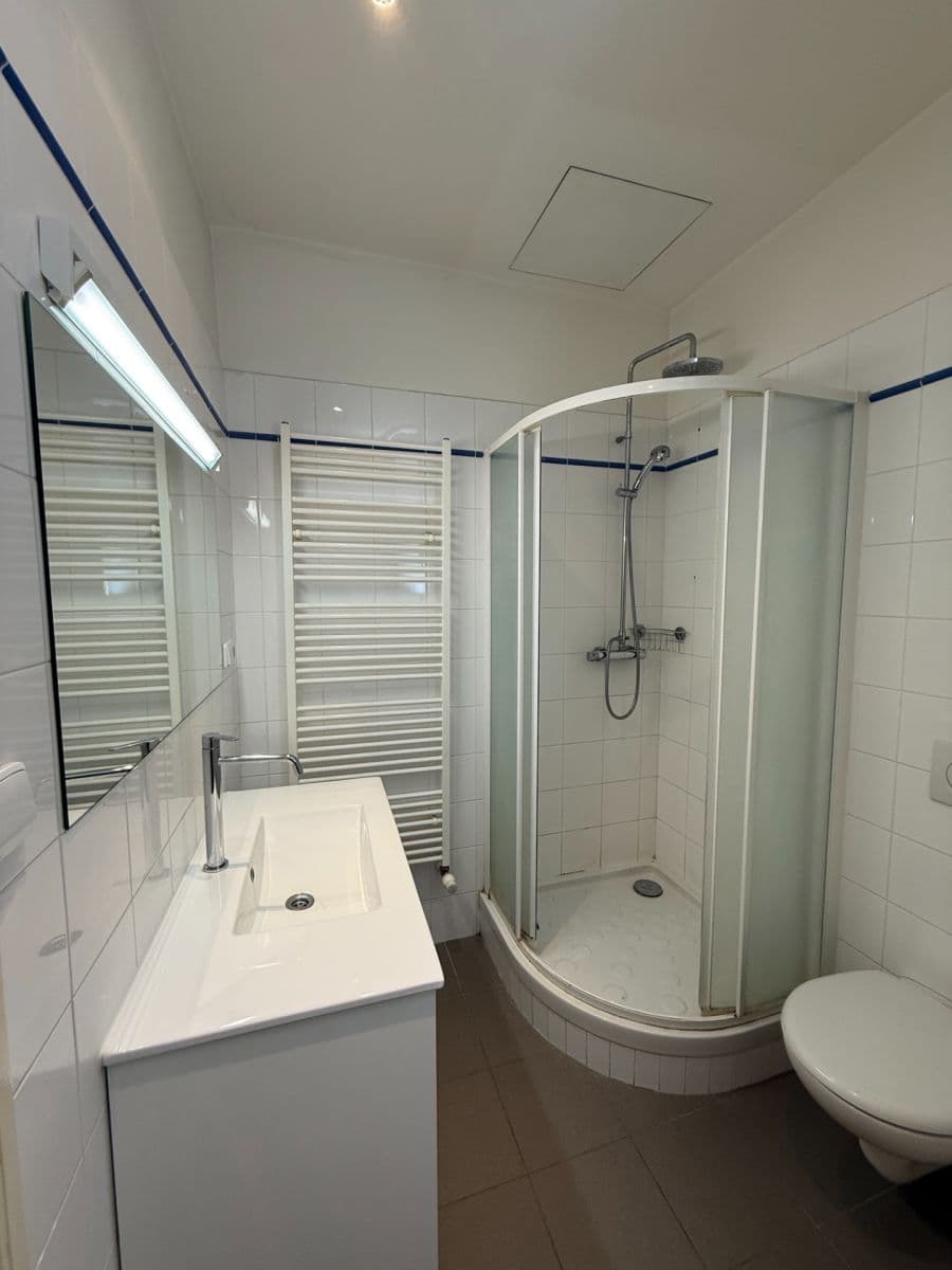 1 bedroom with open-plan kitchen flat for sale, 47 m², Polská, Prague, Prague 1 bedroom with open-plan kitchen flat for sale, 47 m², Polská, Prague, Prague