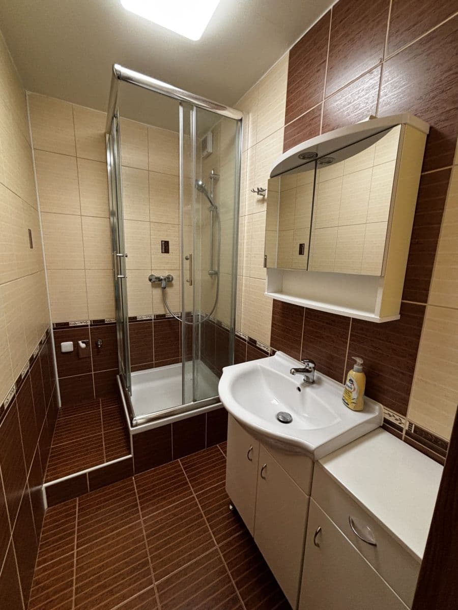 Studio flat to rent, 31 m², Bořetická, Brno, Jihomoravský Region Studio flat to rent, 31 m², Bořetická, Brno, Jihomoravský Region