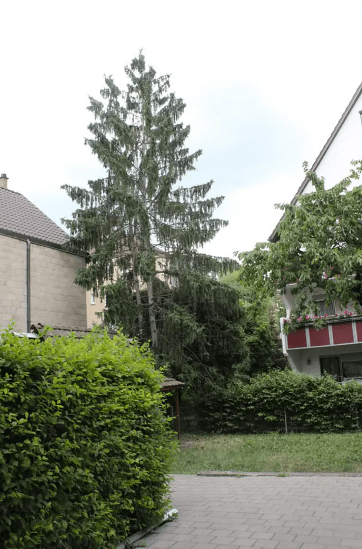 3 bedroom flat to rent, 66 m², Halbergstr. 18, Esslingen am Neckar, Baden-Württemberg 3 bedroom flat to rent, 66 m², Halbergstr. 18, Esslingen am Neckar, Baden-Württemberg