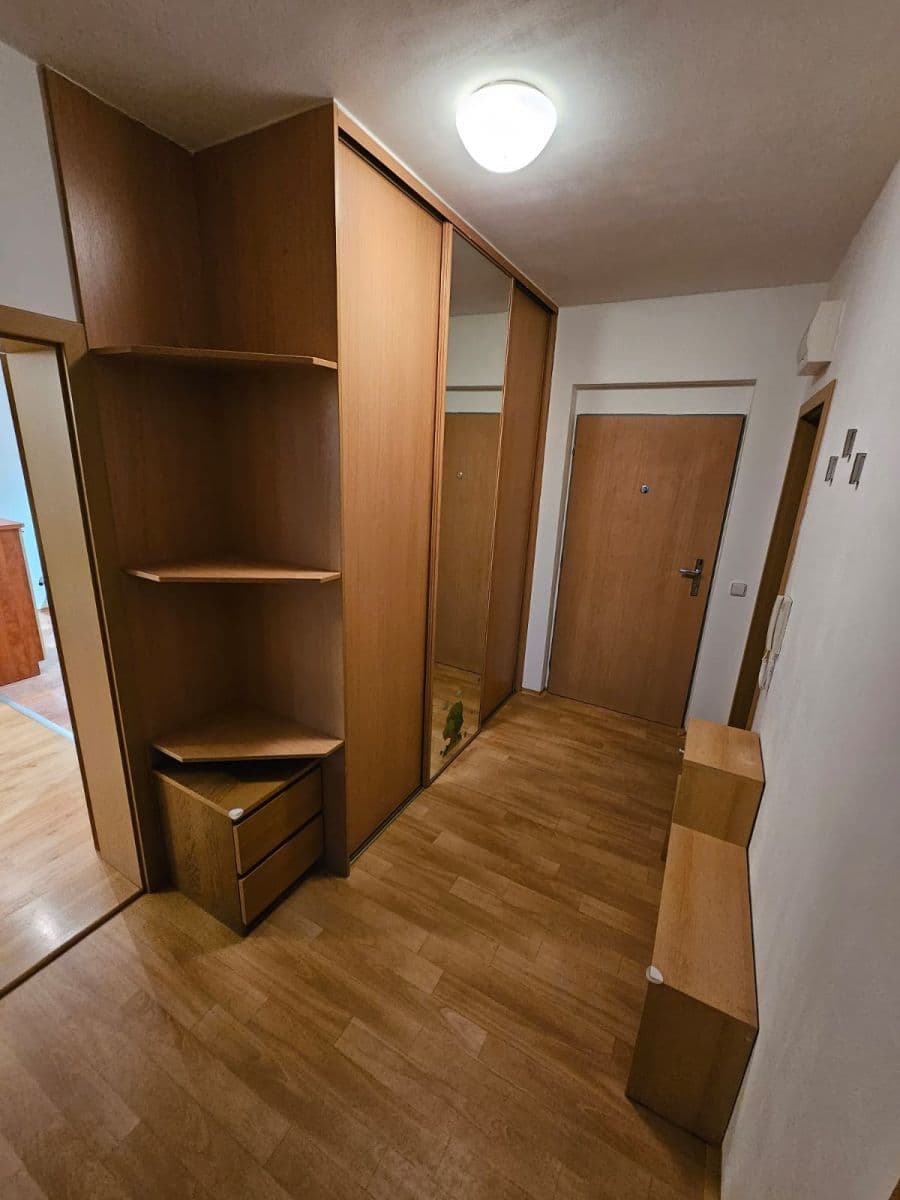 1 bedroom with open-plan kitchen flat to rent, 59 m², Blažovická, Brno, Jihomoravský Region 1 bedroom with open-plan kitchen flat to rent, 59 m², Blažovická, Brno, Jihomoravský Region
