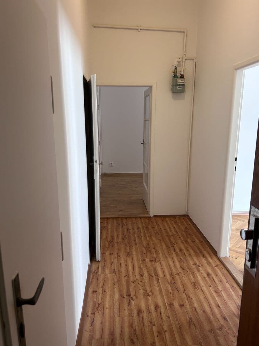 1 bedroom with open-plan kitchen flat to rent, 44 m², Dačického, Prague, Prague 1 bedroom with open-plan kitchen flat to rent, 44 m², Dačického, Prague, Prague