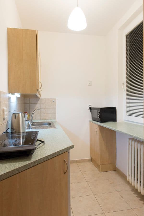 1 bedroom flat to rent, 30 m², Ledvinova, Prague, Prague 1 bedroom flat to rent, 30 m², Ledvinova, Prague, Prague